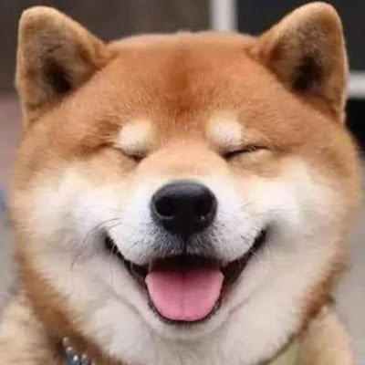 chichi1133158's profile picture. 