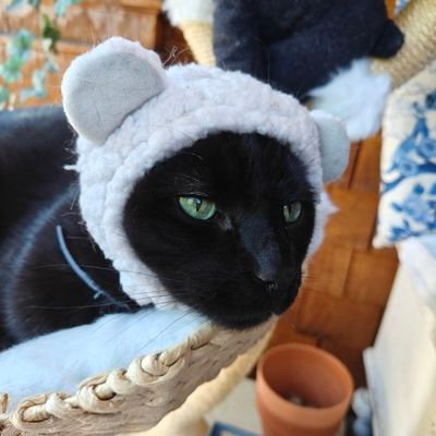 Mrs_Buffba's profile picture. Black cat admirer | INTP | Chinoisarie Decor | Traveling | American artist's wife