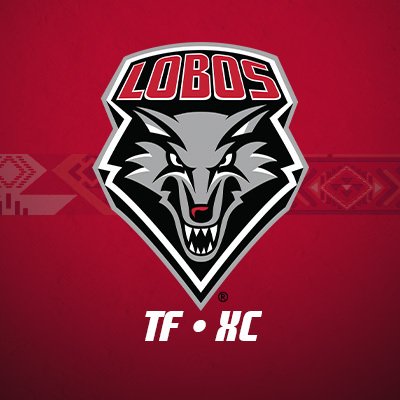 @UNMLoboXCTF