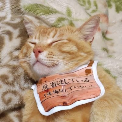 -朱-▶︎10周年前に財布が空になりましたさんのプロフィール画像