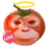 SquashFold's profile picture. my name Squash • 22 • any pronouns • Chickasaw • fish and wildlife major🪺🐛🦆🐟🦦🍂🌾 • furry artist • BLM | LAND BACK | FREE 🇵🇸