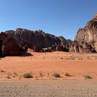 al_fysl68473's profile picture. 