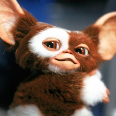 @Grubbo22850