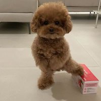 Kim Hun👣 (@hankim0213) 's Twitter Profile Photo Kim Hun👣 (@hankim0213) 's Twitter Profile Photo