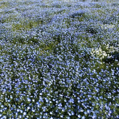 chokinbako00's profile picture. 失業中