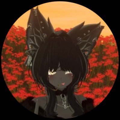 VRChat用アカウント(人外好き) たまに日常もつぶやきます 推しは骸音シーエちゃん 豺狼ちゃんがメインアバターです!(仙猫ちゃん、ムルル、他)ヘリコプターの操縦訓練中(VRchat内)