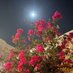 فهد الحارثي (@fahadhrth501) Twitter profile photo فهد الحارثي (@fahadhrth501) Twitter profile photo