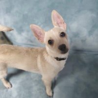 Lisa (@lisacoving62107) 's Twitter Profile Photo