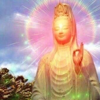 meanyeo11's profile picture. Nowhere to be found