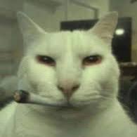 poshooxd's profile picture. dalenoseastimidarompeabusadora