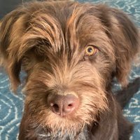 Gary Wood (@woodgary1828) 's Twitter Profile