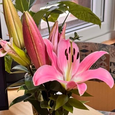 stobgyel7's profile picture. 