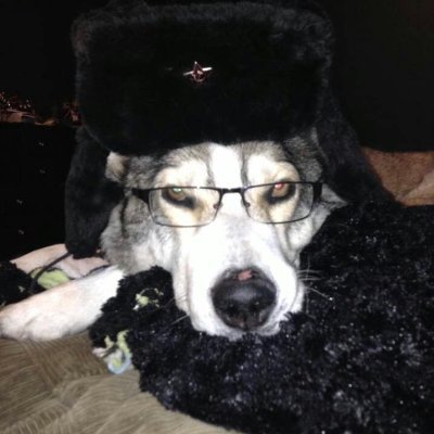 traiilerzip's profile picture. 🏳️‍⚧️🏳️‍🌈|♿ living breathing and loving on earth.