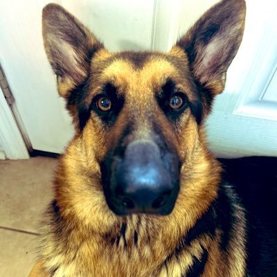 MattCam10937253's profile picture. Spoiled and ready to run