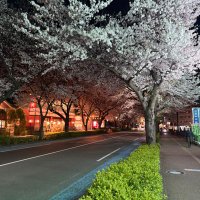 空 (@ai3ztz5eci76977) 's Twitter Profile Photo