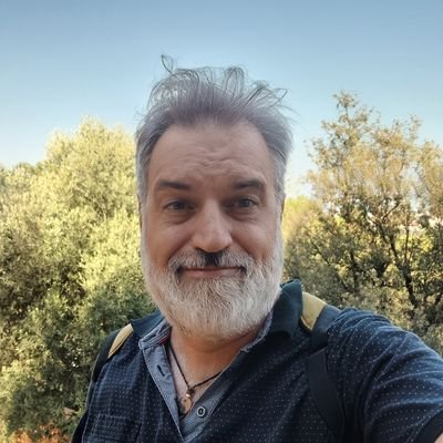 Ramon Castelló Profile