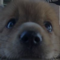 9 (@gurae321) 's Twitter Profile