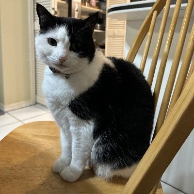 Tazjasmish's profile picture. 