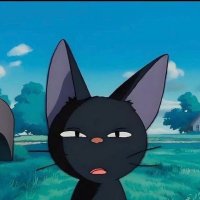 happy (@cchomper__) 's Twitter Profile