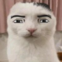 gordon (@gordoncityy) 's Twitter Profile Photo gordon (@gordoncityy) 's Twitter Profile Photo