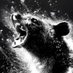 #1 Cocaine Bear fan Profile picture