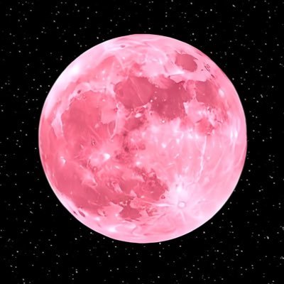 ChrisCHUNsan's profile picture. 🦄 🐑 🍎 🍏 @NickiMinaj follows 🫶🏻🥹😘🥰 “In this very moment I’M KING” 🤴 I say/RP what I like, when I like, how I like. 👌🏼