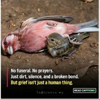 Erik (@erik94218951506) 's Twitter Profile