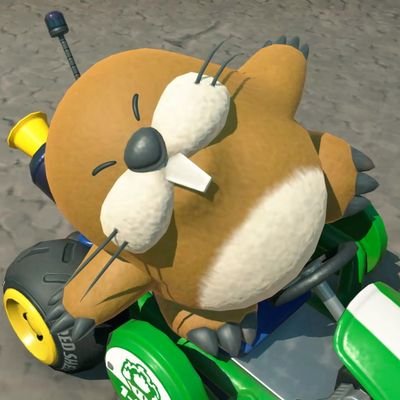 キャンドゥずんさんのプロフィール画像