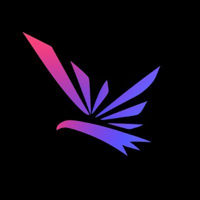@raptorxai