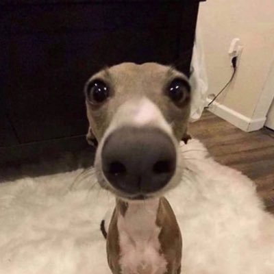 gu57900's profile picture. 