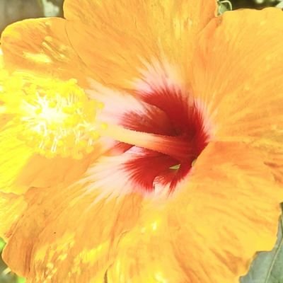 qddictionz's profile picture. ‍