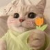 Joy! (@judqez) Twitter profile photo Joy! (@judqez) Twitter profile photo