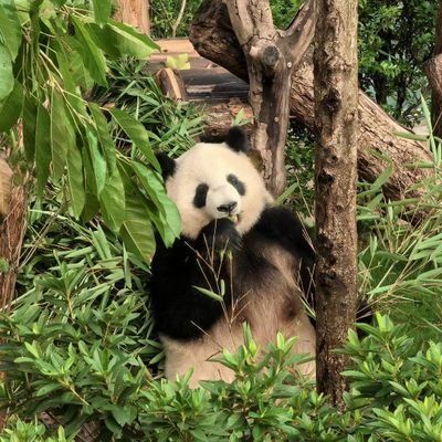 OMGodCAT's profile picture. 