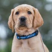 SandersJos19872's profile picture. I'M VERY HAPPY 

I LOVE ANIMALS