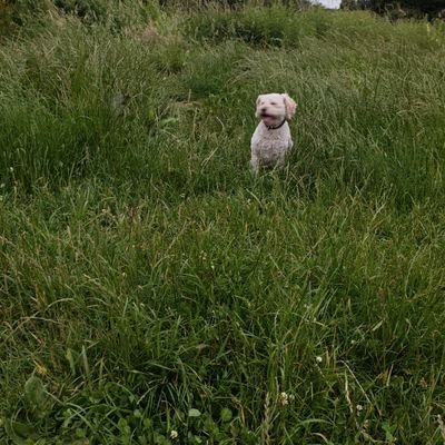 Airline pilot | Former MBB | Dad | Biz Owner | Follow for weekly content about life and solving business problems | DM for help boosting profit in your business