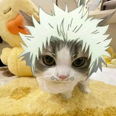 kungsatur's profile picture. — @jeffsatur ꒱🪐♪ 🎸♬ ༚                                                                       @phutatchai🎄#PEEMTANAT 🐾