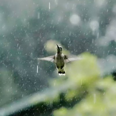 kwok292's profile picture. I architect futures by decoding the hidden algorithm causing your inner friction & paralysis. My mission: a real strategy for you to win WITH your nature.