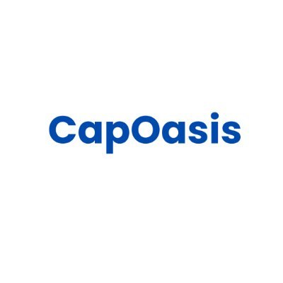 Capoasistech's profile picture. AI Tools Training Institute