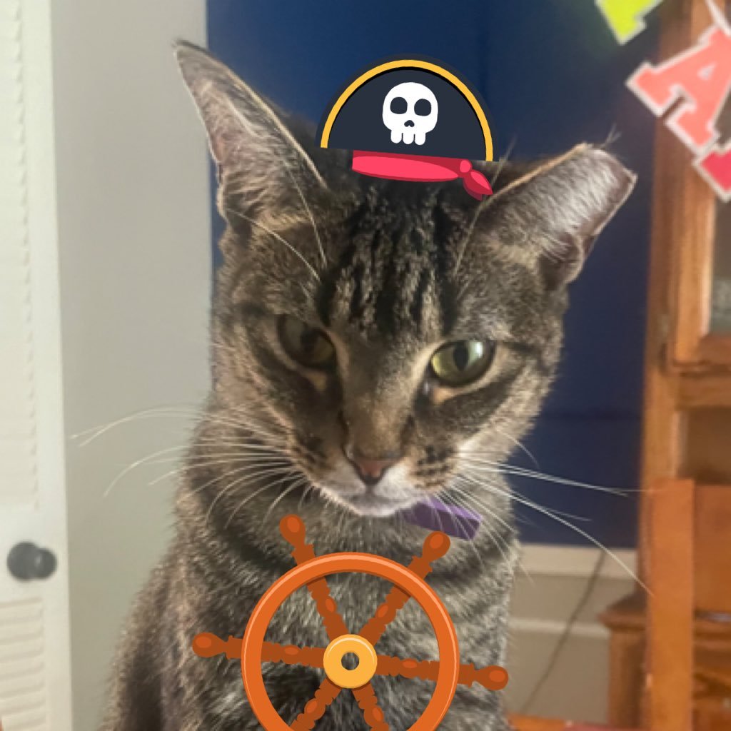 z0faas_'s profile picture. 21 🏴‍☠️ Male 🏴‍☠️ Pfp: Squirt (1 year old)