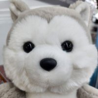 ๋๊ฐฑ (@dogang_24) 's Twitter Profile Photo ๋๊ฐฑ (@dogang_24) 's Twitter Profile Photo