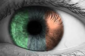 Irish_Observer's profile picture. 