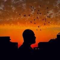 Alaa (@alaasaker177) 's Twitter Profile Photo Alaa (@alaasaker177) 's Twitter Profile Photo