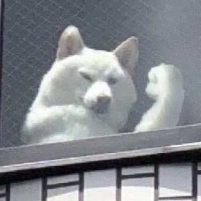 jitsuwa_gyudon's profile picture. 最近割とプリミティブ