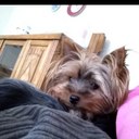 Melanie Kelly - @Mmkelly50 - Twitter