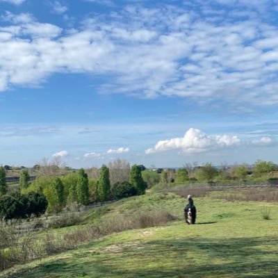 rojo27051's profile picture. 