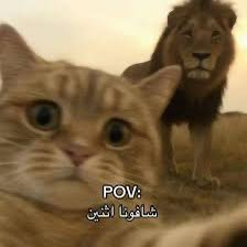 هل ترغب بالتحدث معي