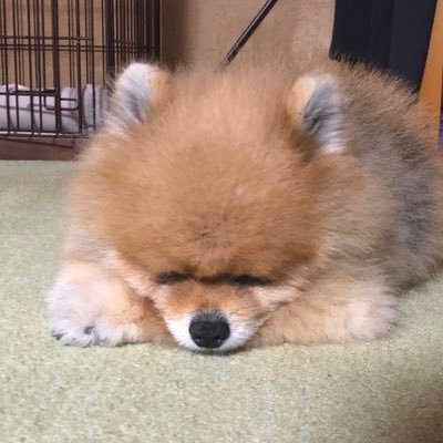 俳優の卵です。宜しくお願い致します。