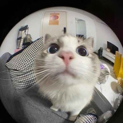 TanmayPans41652's profile picture. 