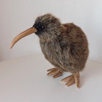 リノ (@linoleum_24) 's Twitter Profile Photo