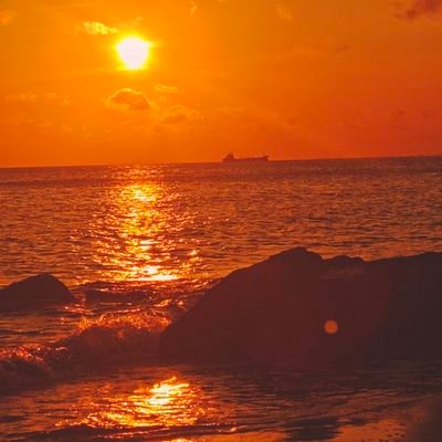 MiMy849093's profile picture. 